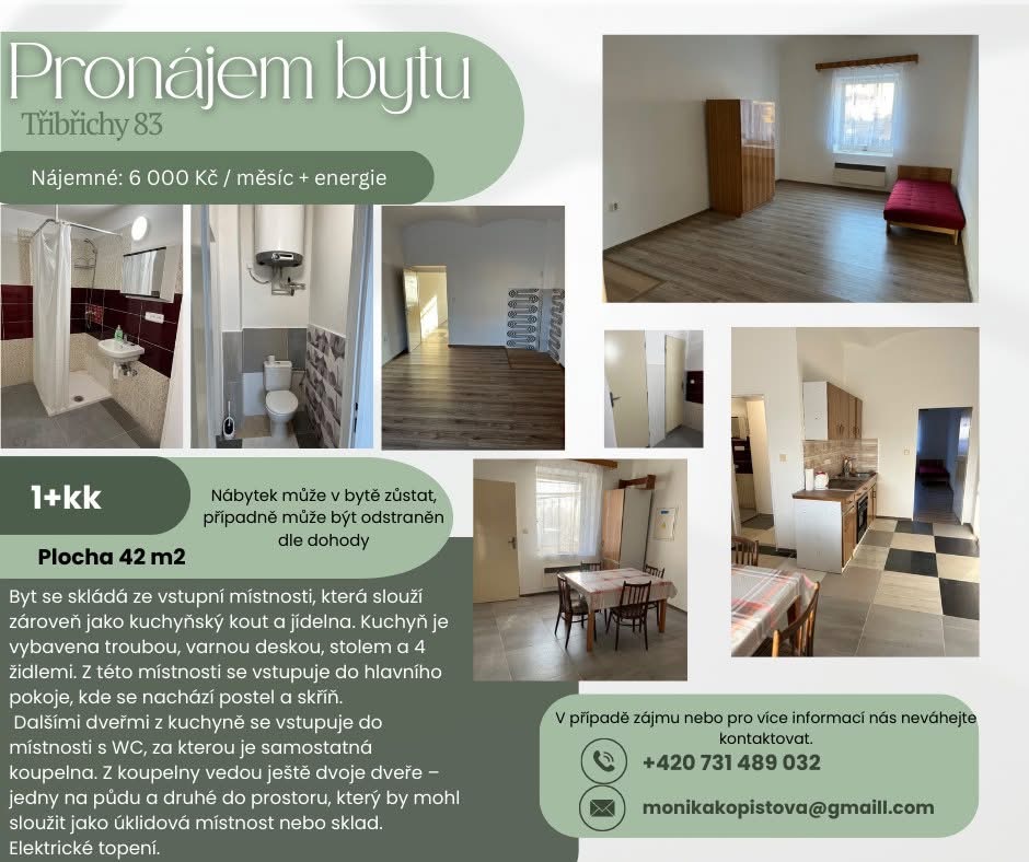 Pronájem bytu Třibřichy